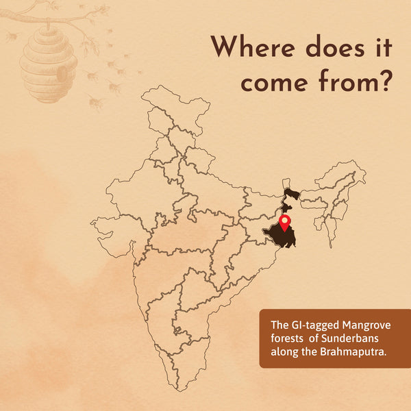 Mangrove Honey - From the forests of Sunderbans