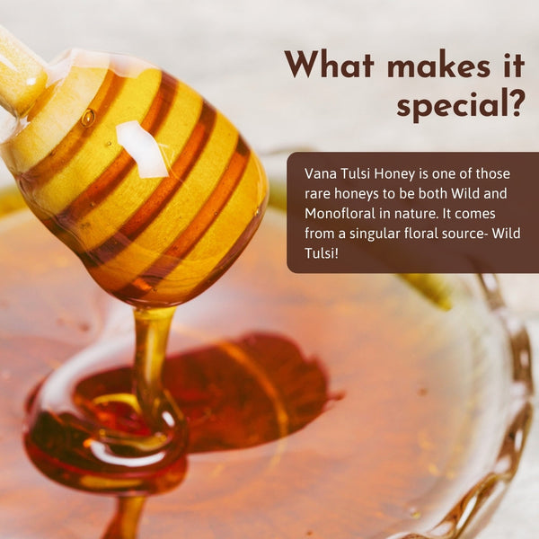 Vana Tulsi Honey