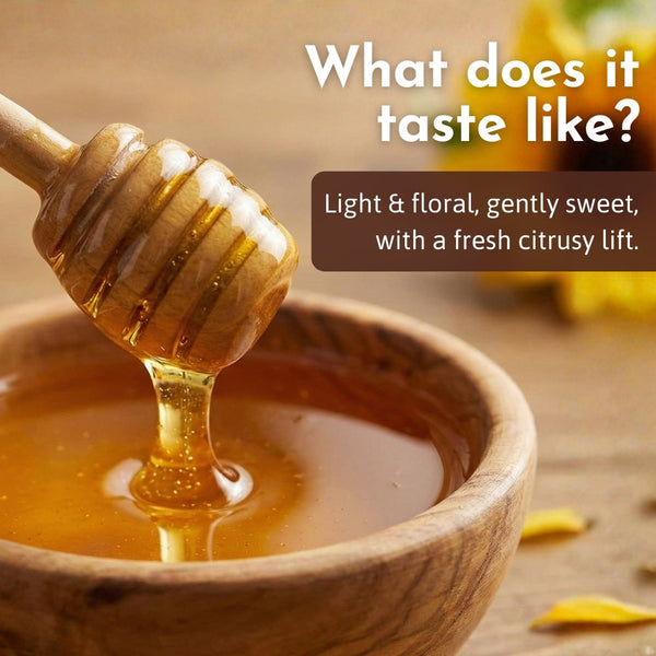 Sunflower Honey