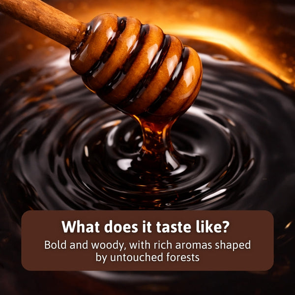 Wild Wood Honey